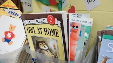 Bill to clarify Tennessee school library law would exempt classroom book collections from scrutiny