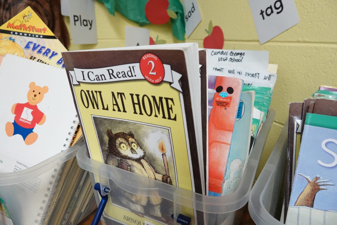 Children’s books fill clear plastic reading bins in an elementary school classroom.