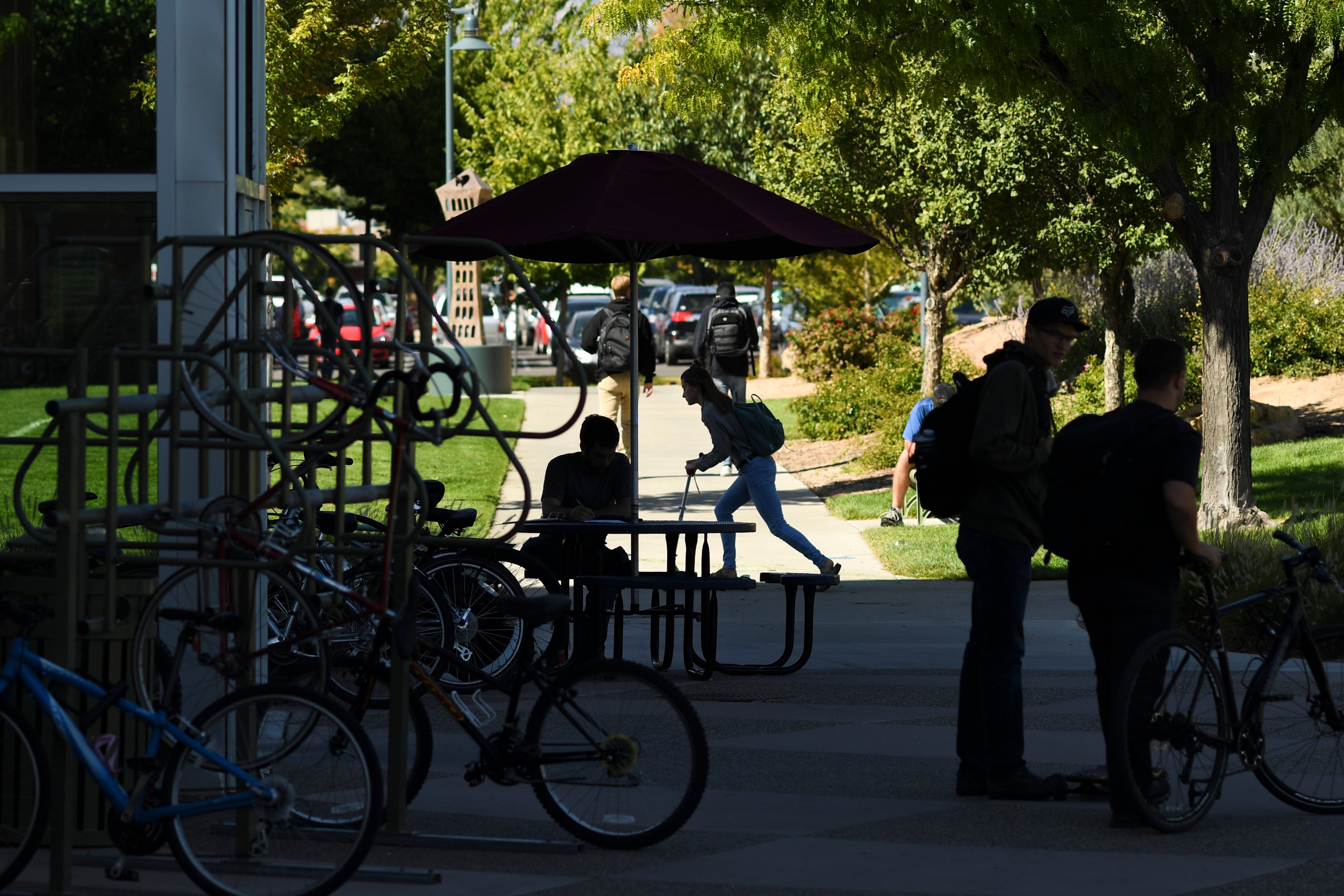 A silhouette of four students on a college campus.