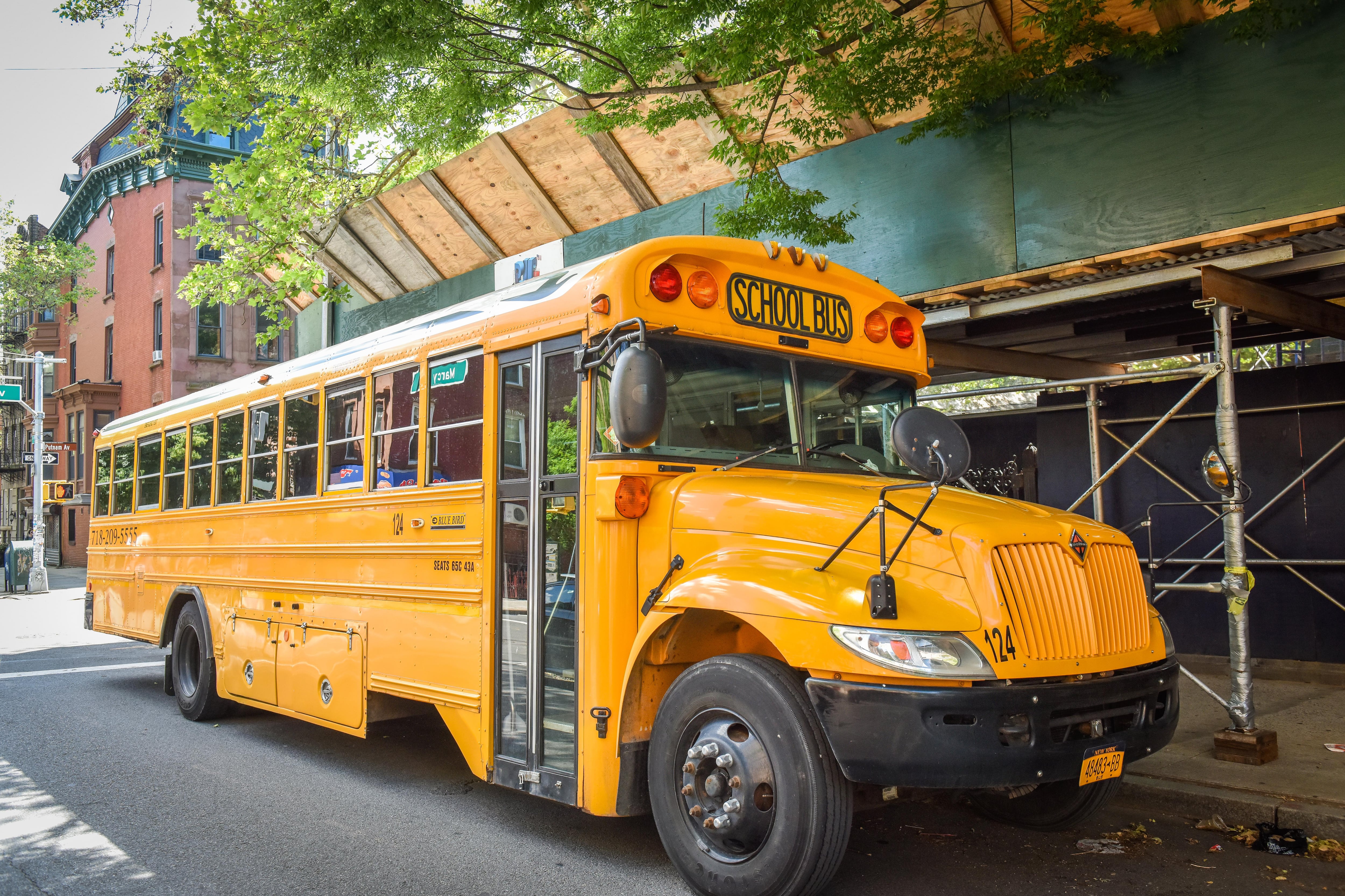 A large yellow school bus parked outside a building next to green scaffolding.