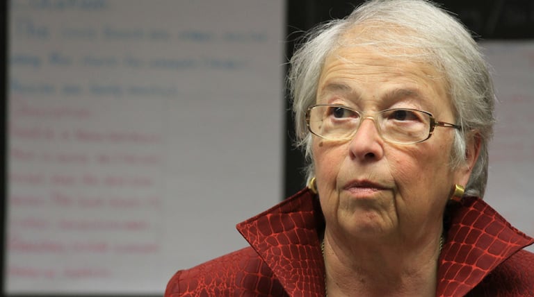 Fariña defends school merger plans as panel signs off