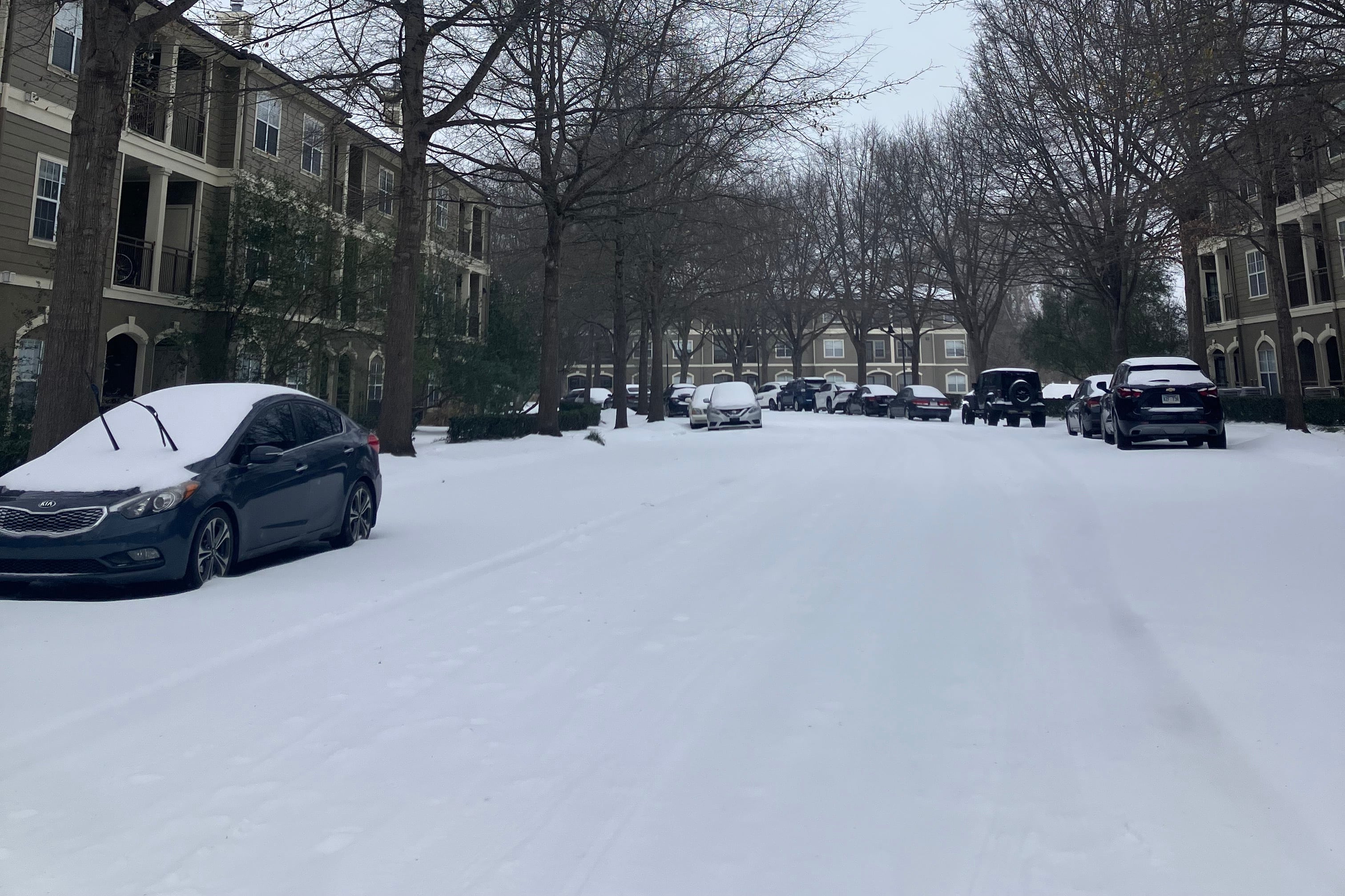 Trees and parked cars line a snow-covered road between two tan apartment buildings.