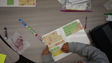 ‘It would give families real power’: What if rights for students with disabilities covered everyone?