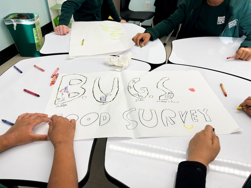 Large pieces of paper with the words "bugs food survey" with four pairs of hands and crayons on a table.