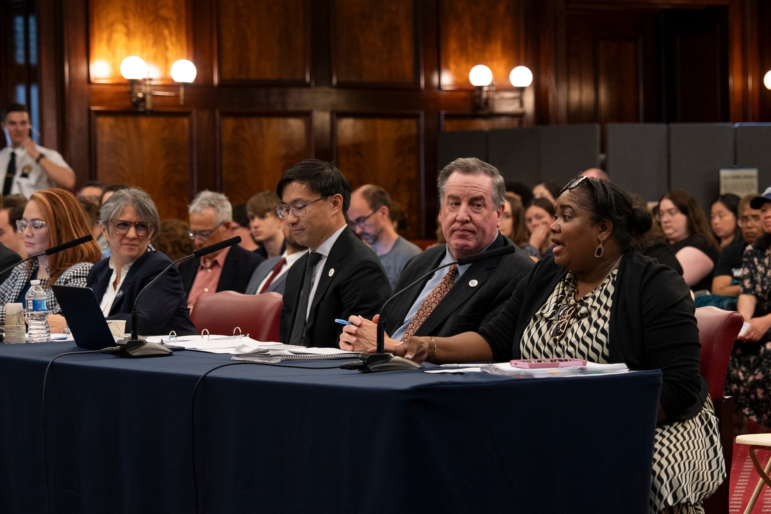 A photograph of a representative speaking to a microphone at a committee hearing inside the council chamber.