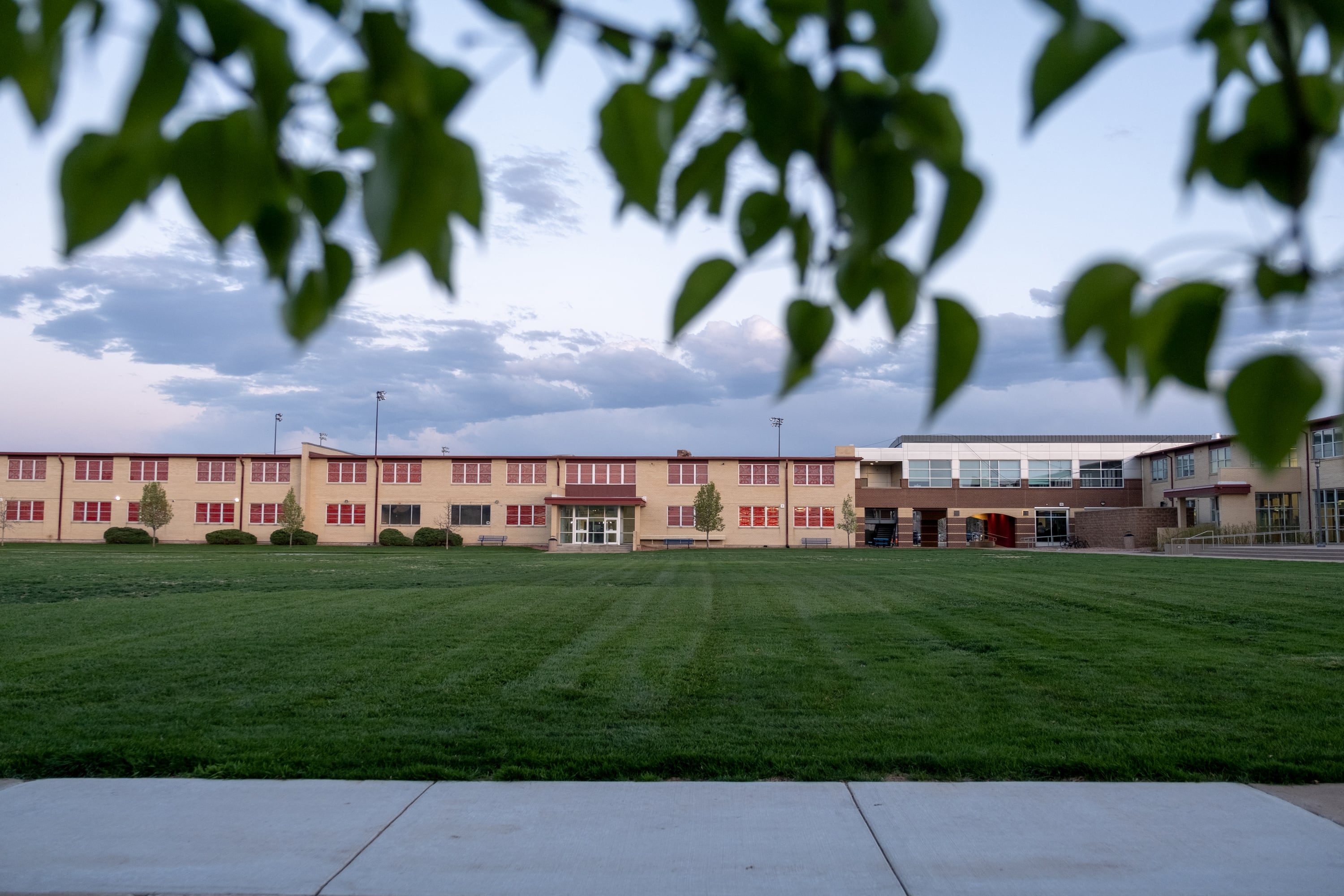 A college building is seen across a green grassy field and some leaves and branches in the foreground.