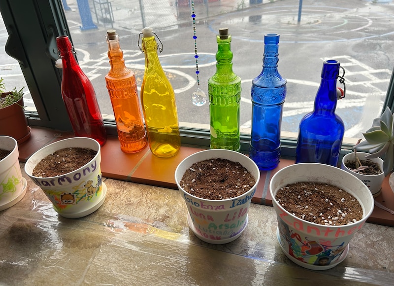 Glass bottles and pots with soil stand in front of a window.