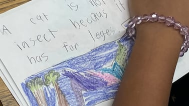 For some Memphis 3rd graders, reading retest brings better news