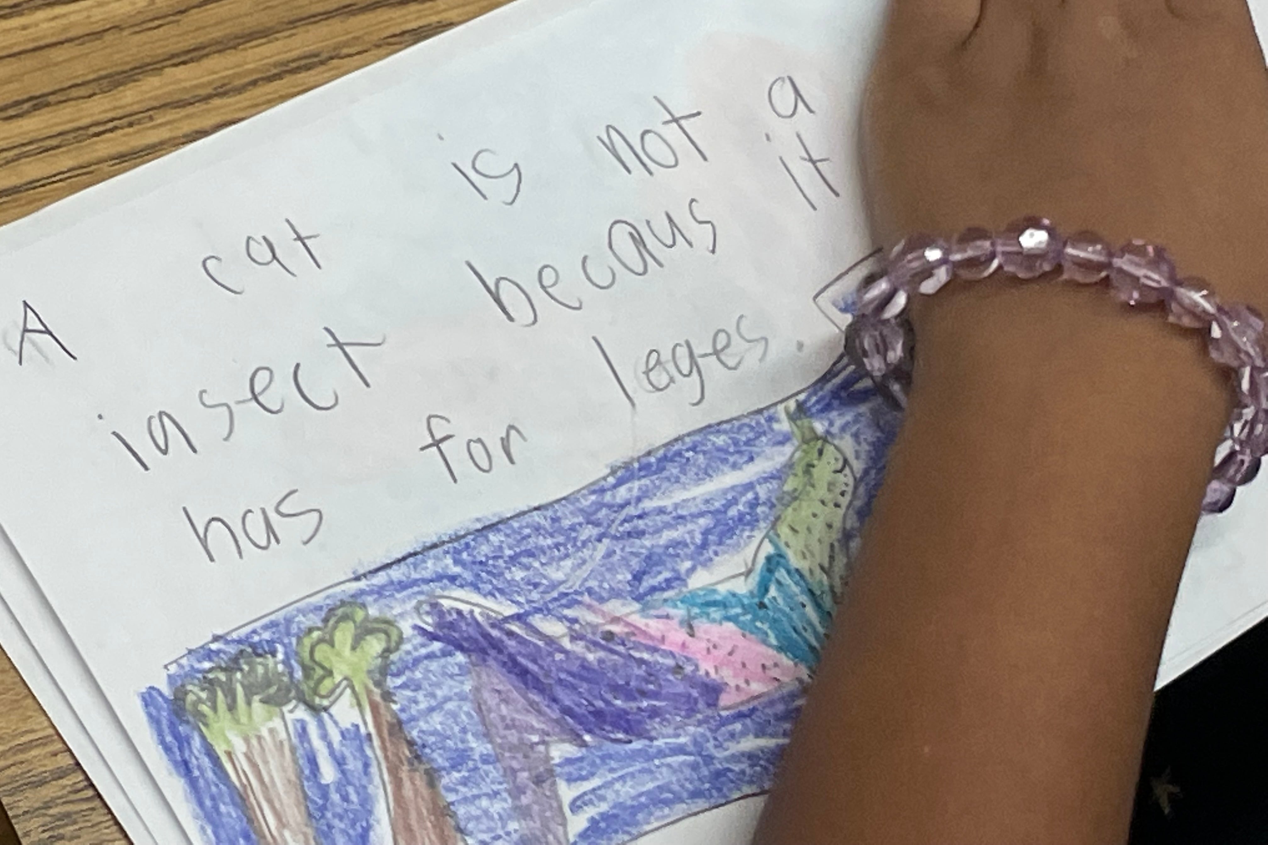 A students hand is shown alongside a passage written by the girl about why a cat is not an insect.