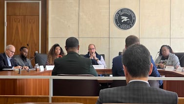 IPEC staffer highlights risk of state takeover of IPS if referendum fails