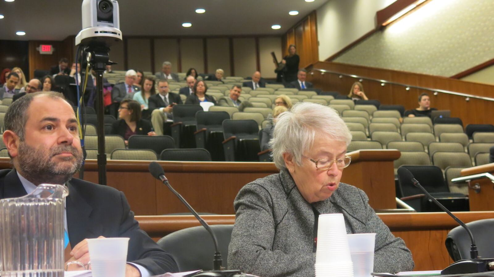 Raymond Orlando, the city education department's chief financial officer, testifies with Chancellor Carmen Fariña on Cuomo's budget in Albany on Tuesday.
