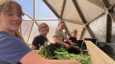 This Colorado teacher got students hooked on rutabagas. Next stop: beet muffins.