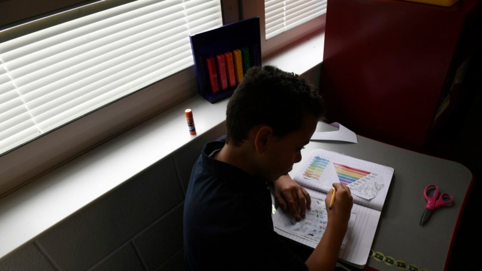 Denver Language School student Xavier Templeton, 10, learns about the five animal kingdoms.