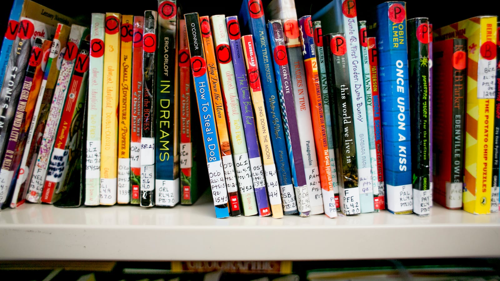 A school library in Detroit. Under a proposed law, every school library in the state would be required to have at least one librarian.