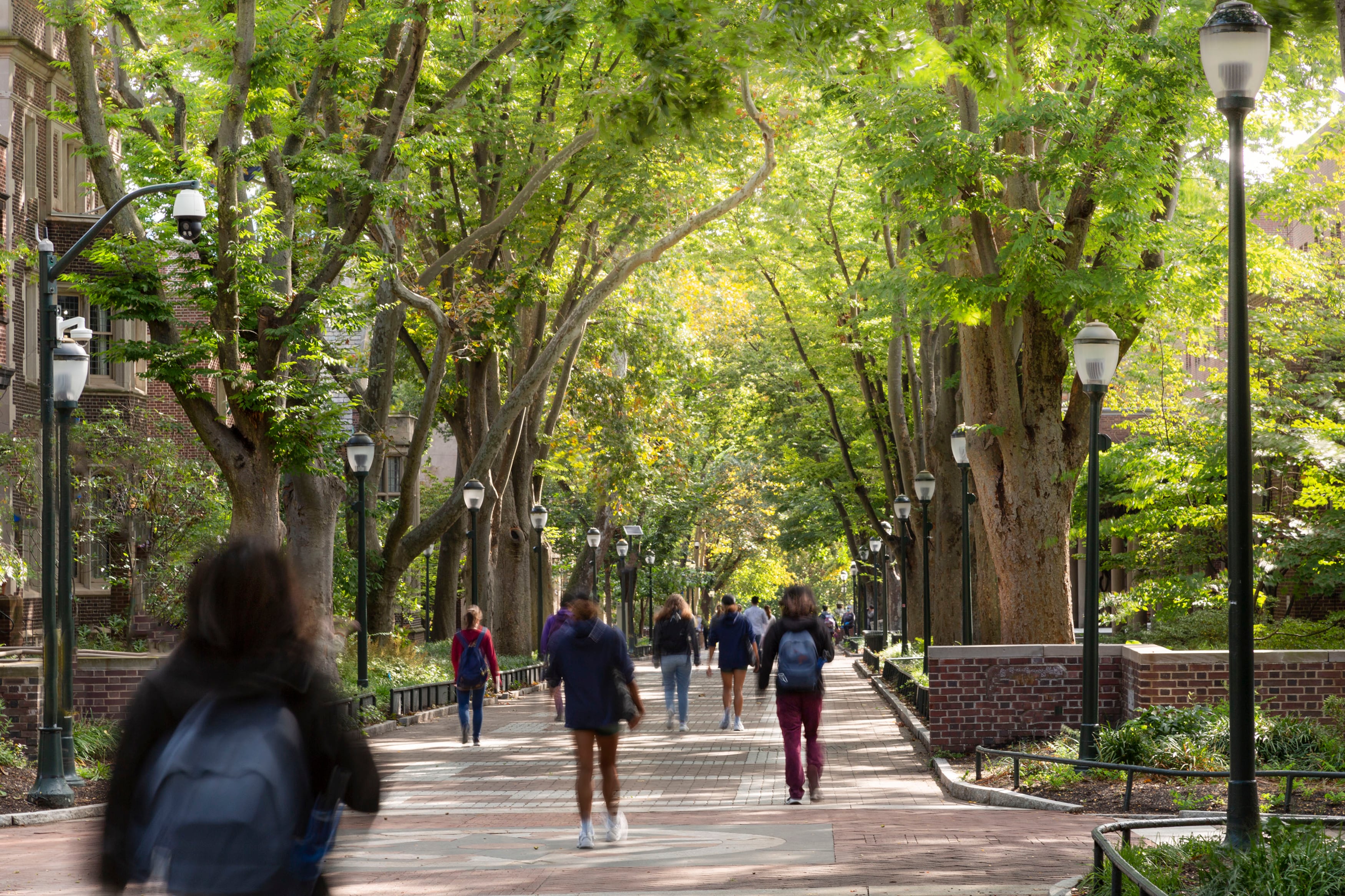 Students walk along a sidewalk in the middle of campus with green trees all around.