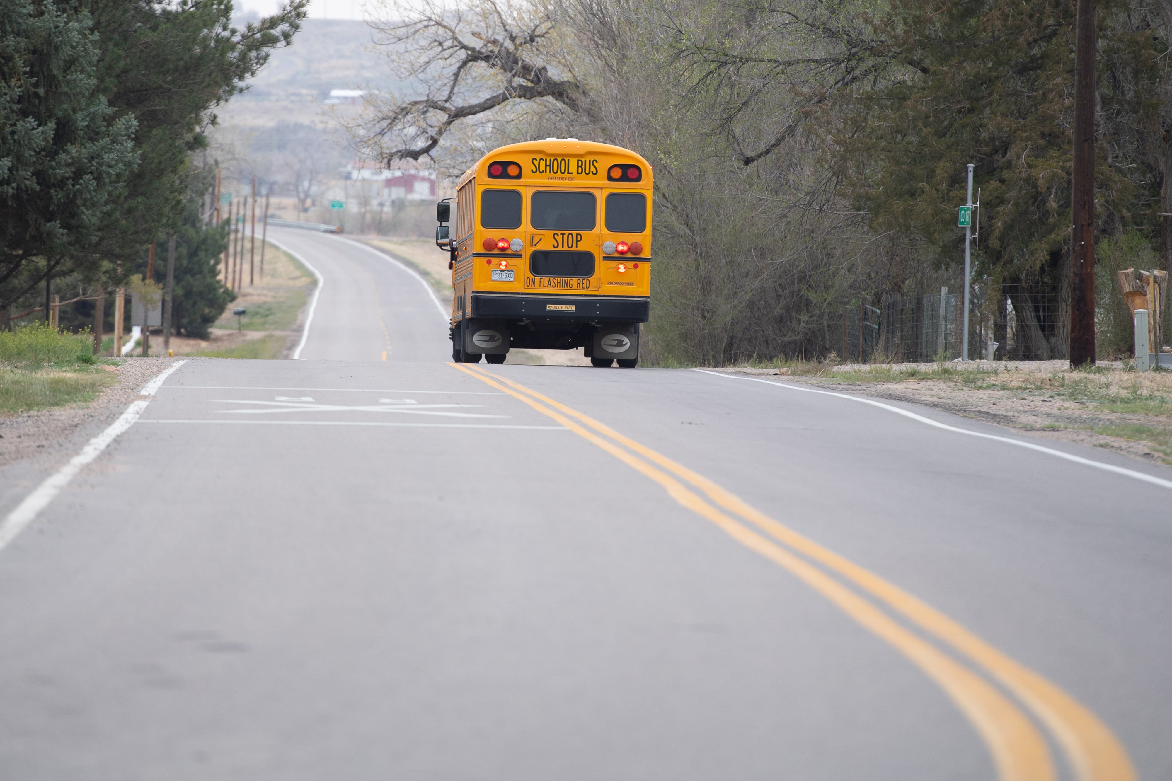 A yellow school bus drives down a rural road.