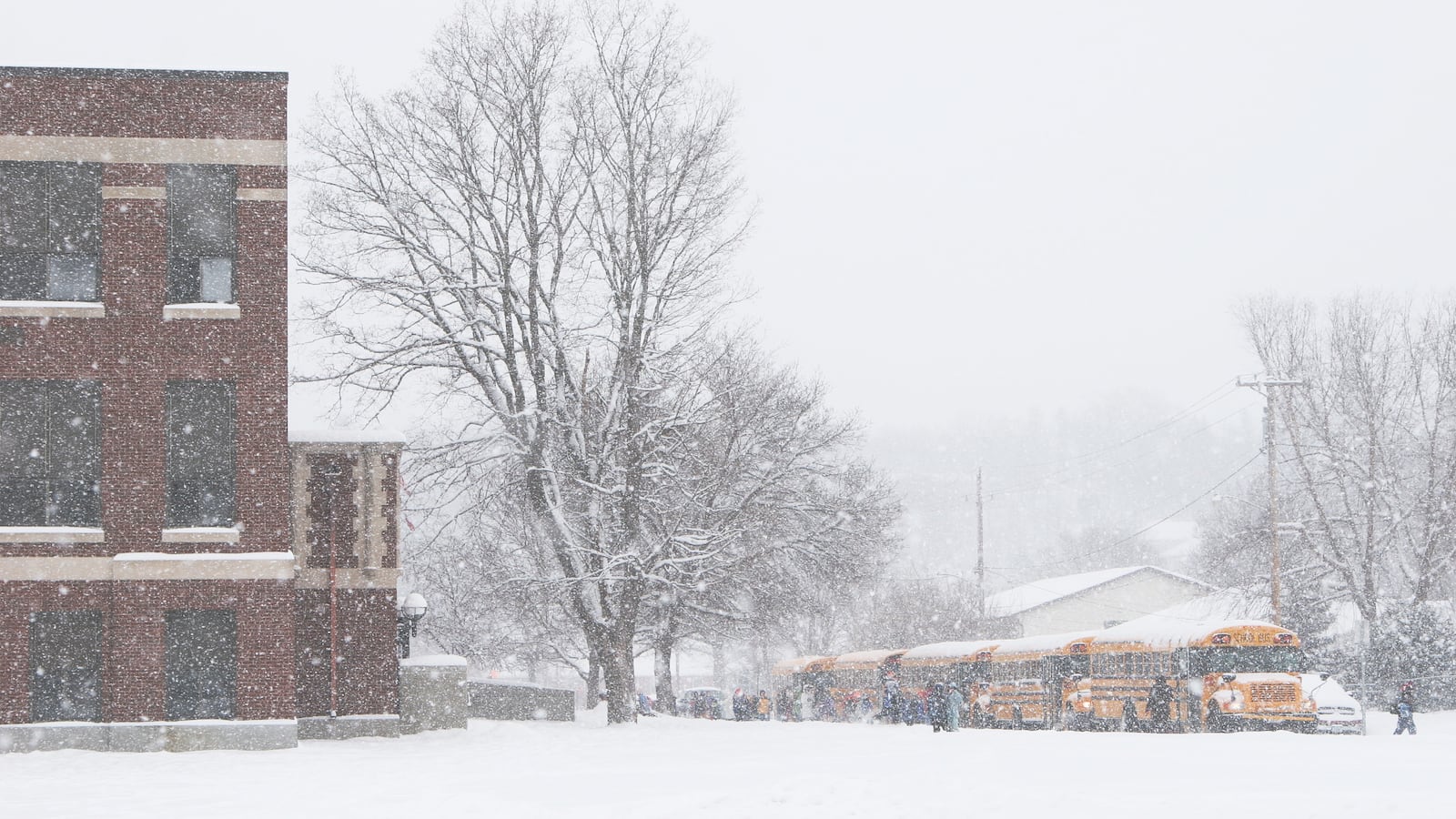 Yellow school buses line up outside a school as snow falls.