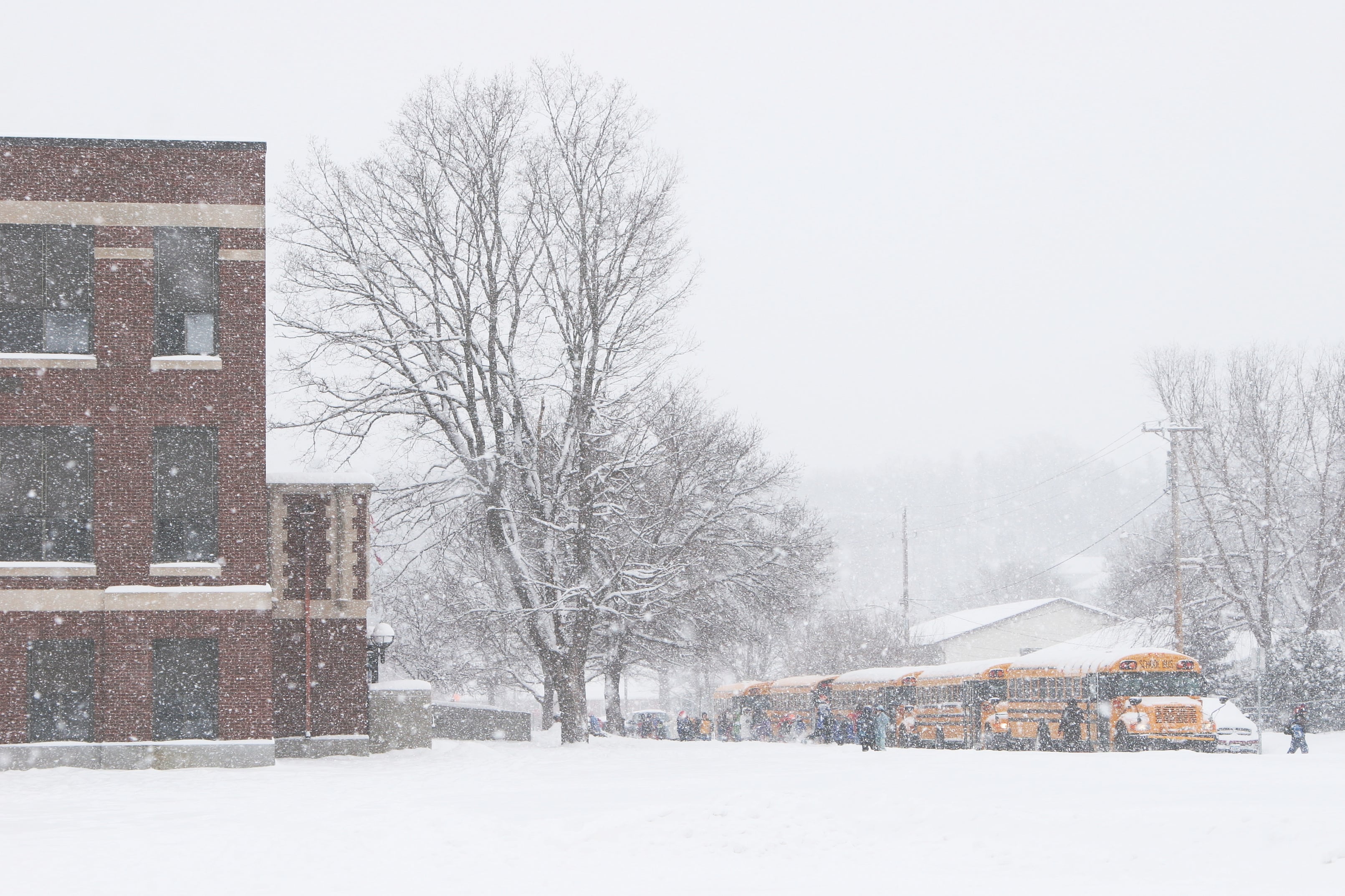 Yellow school buses line up outside a school as snow falls.
