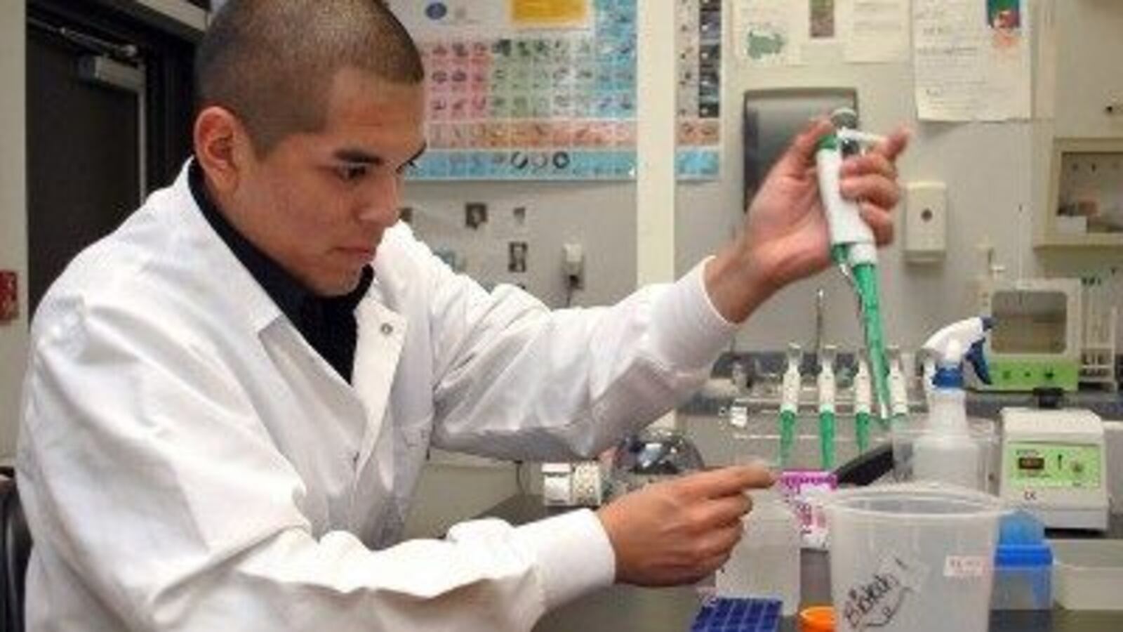 Health care professions are the focus of IDEA's first school attempting the diverse-by-design model.