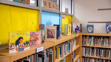 See your Indiana school’s 2024 IREAD scores