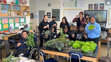 Rain gardens, street trees, hydroponics: A Bronx teacher brings earth science to life
