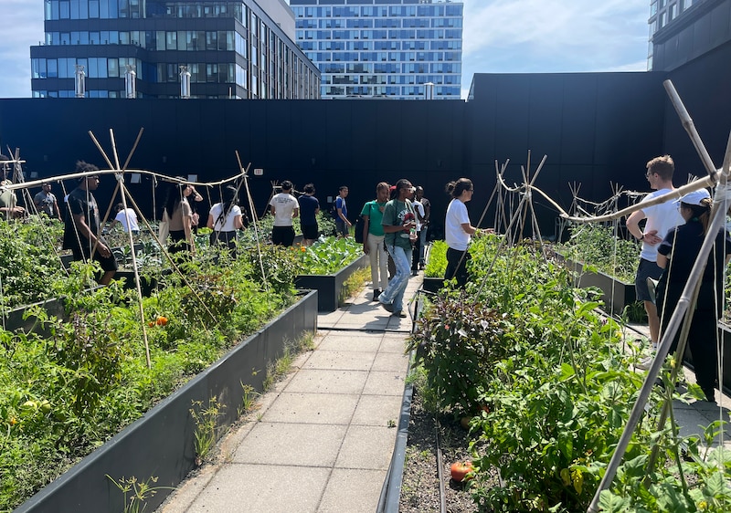 A line of students stand outside near a green garden with buildings in the background.