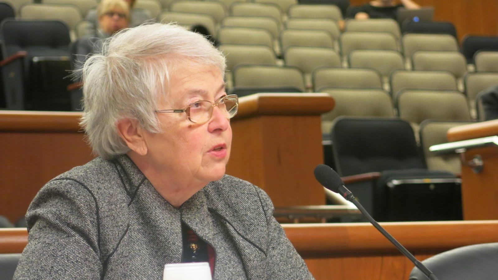 Chancellor Carmen Fariña testified in Albany about mayoral control in February 2015.