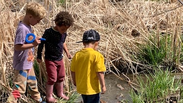 Outdoor preschools to become eligible for state licenses in Colorado