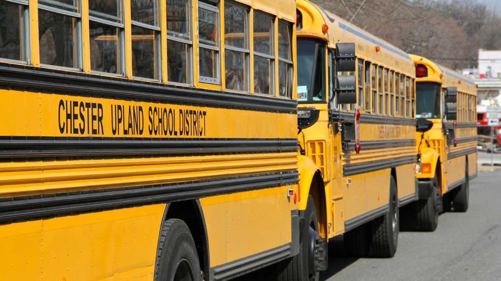Yellow school buses for the Chester Upland School District.