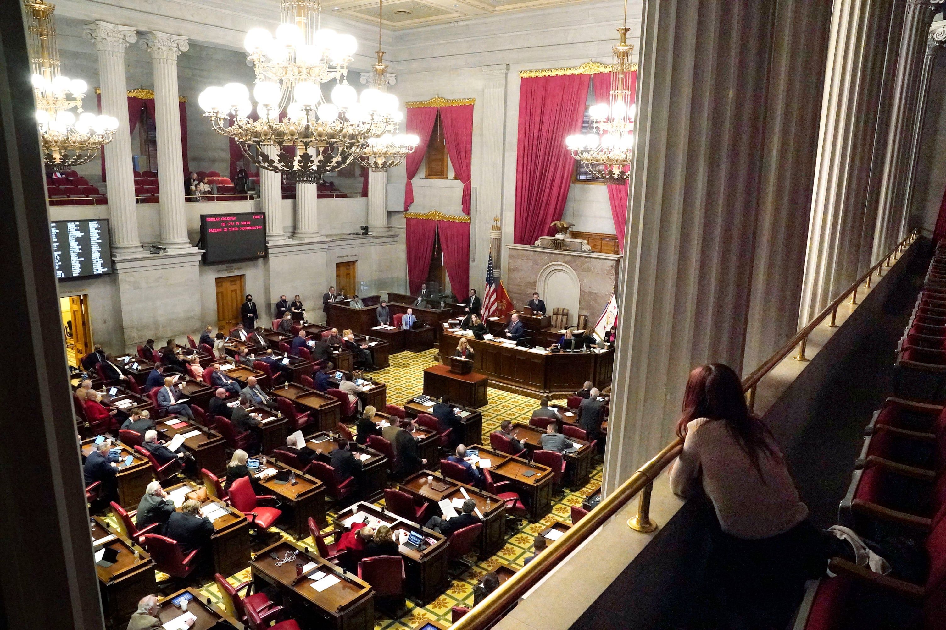 A spectator watches from the balcony as legislators conduct business in large legislative chamber lit by massive chandaliers.