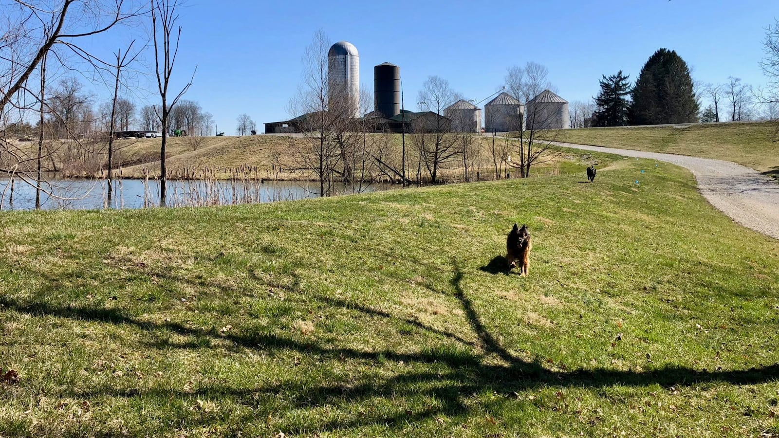 The Indiana Agriculture and Technology School, set to open in July, will have a physical outpost on a farm in southern Indiana.