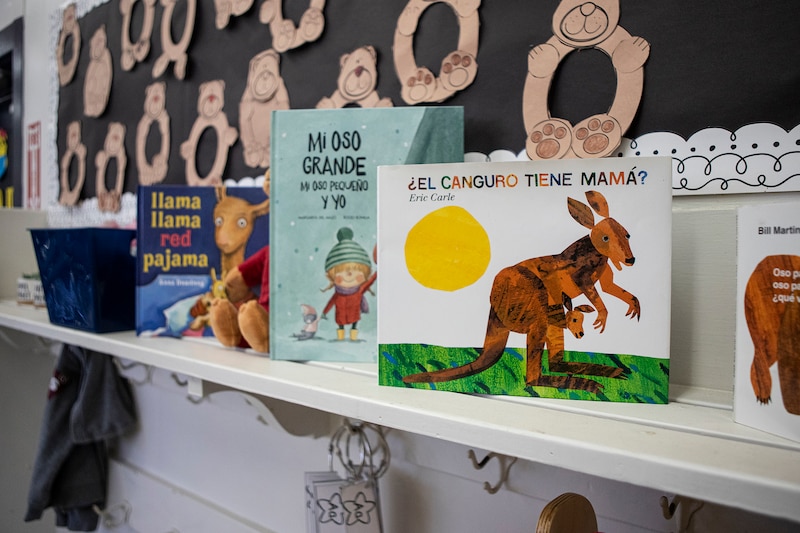 Books in Spanish and English sit on a shelf in a classroom.