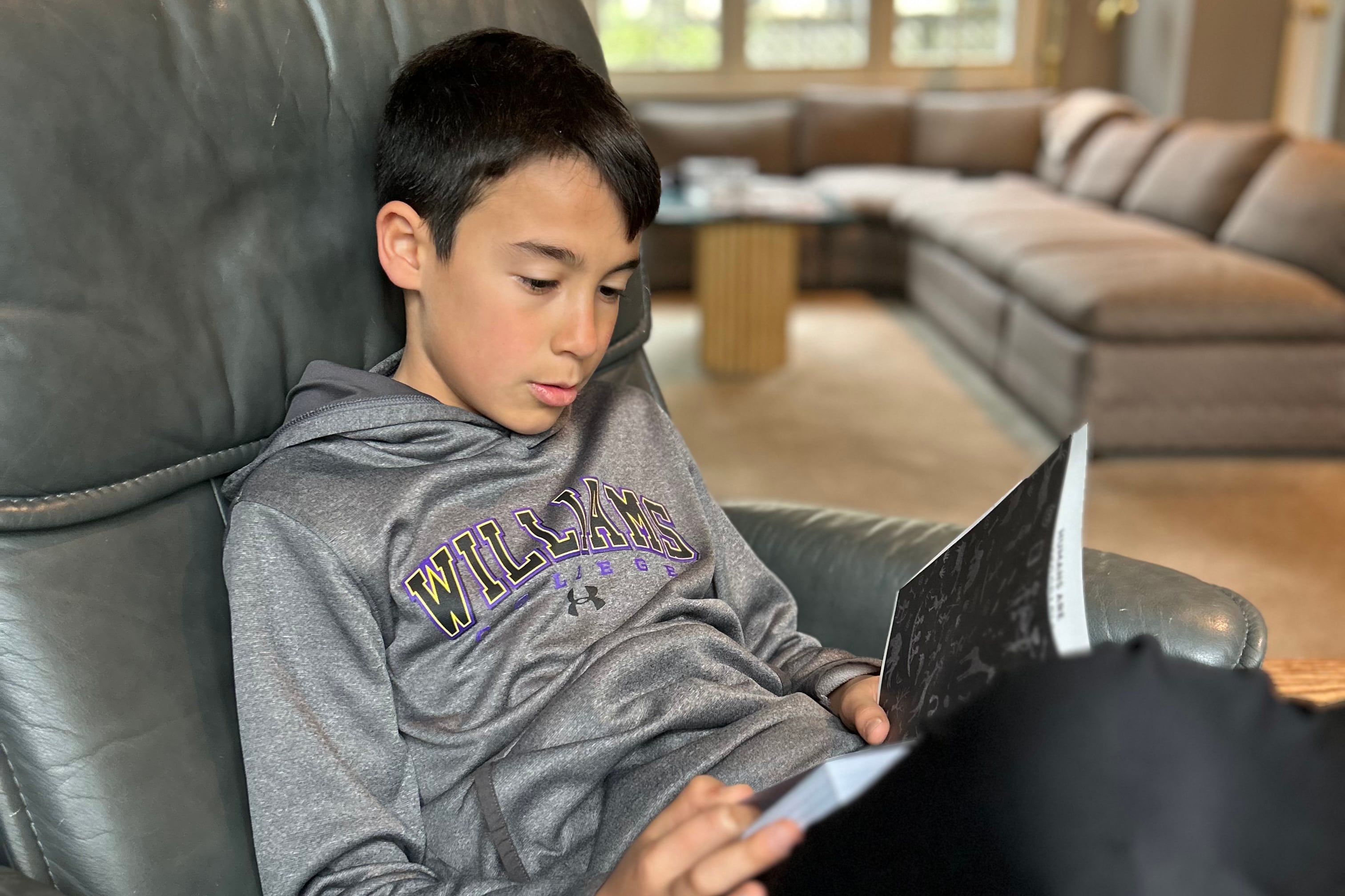 A young boy with short dark hair and wearing a grey sweater and reading a book while sitting on a chair.