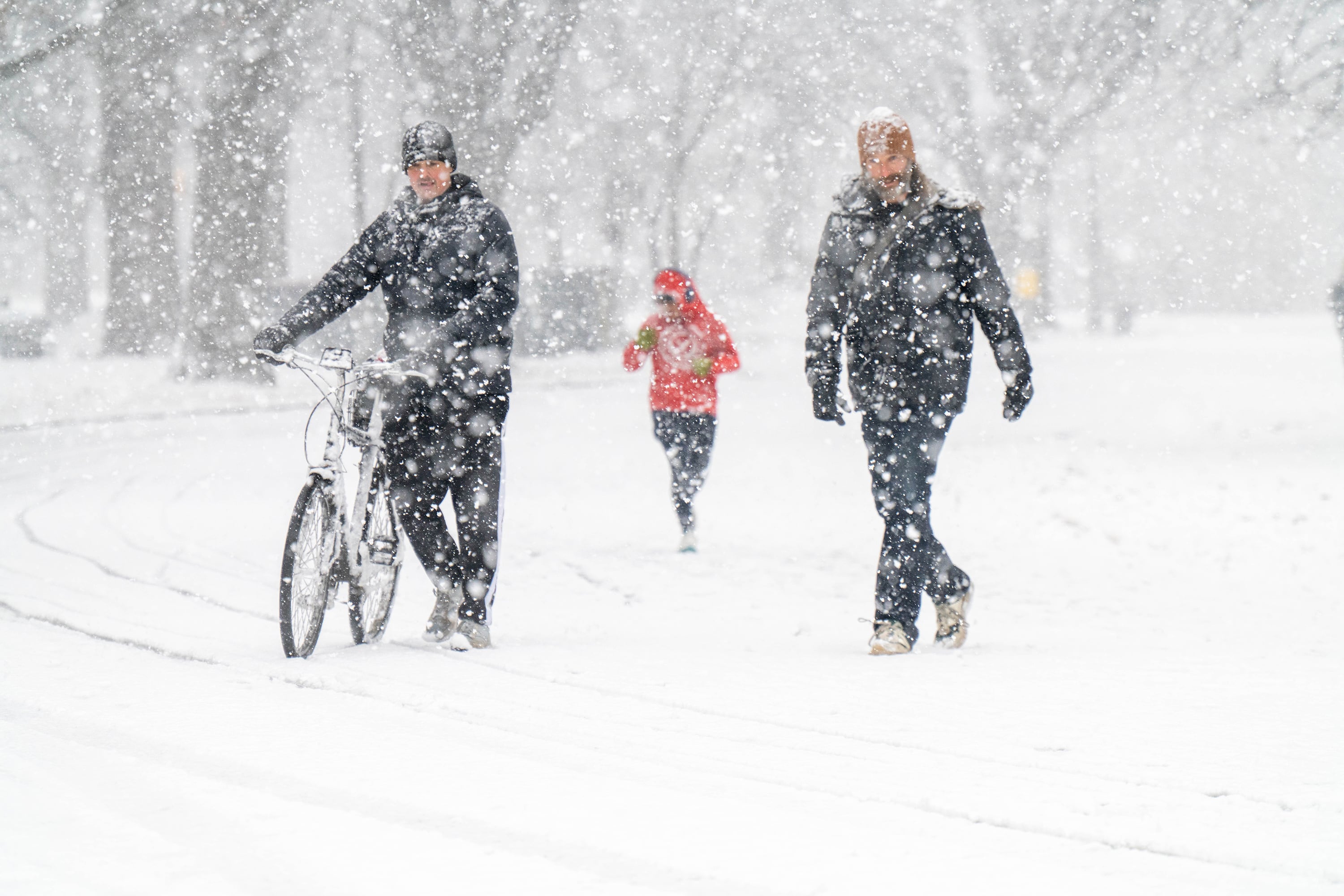 A photograph of a snowy day with three people seen walking through a park. Snow fall is covering the whole screen and not much else is visible.