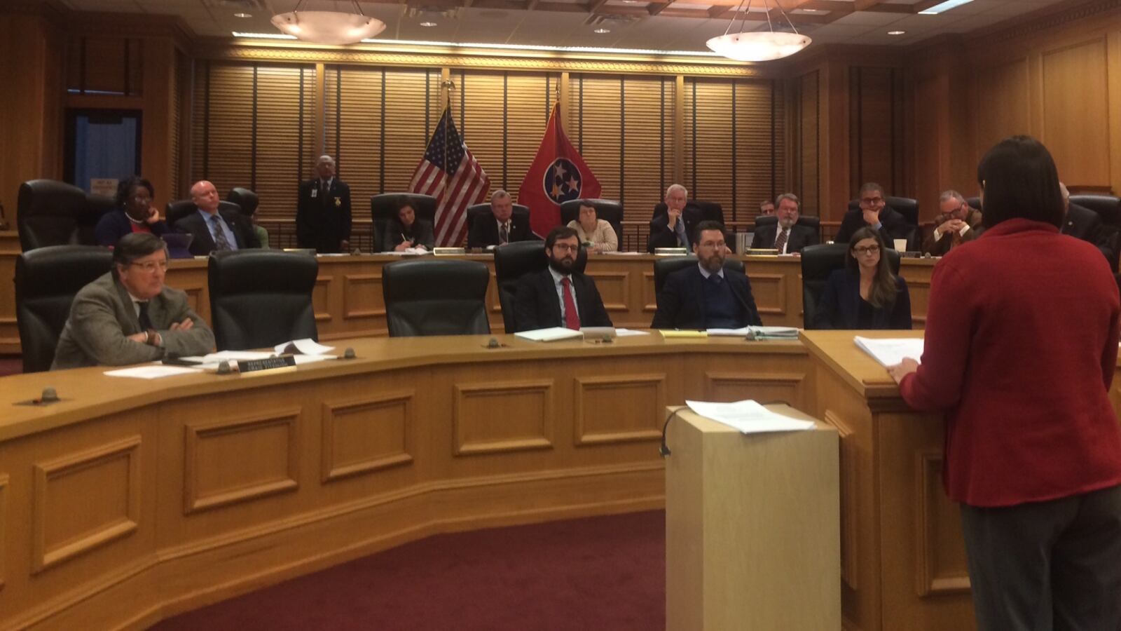 Members of the state House finance subcommittee listen to Amy Frogge, a member of the Metropolitan Nashville Public Schools Board of Education, as she speaks against a school voucher bill before the legislature.