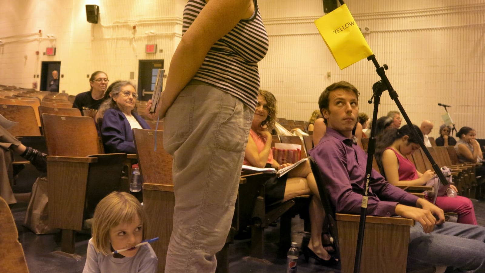 A teacher spoke about the need for greater school diversity at a 2015 meeting of the Panel for Educational Policy.