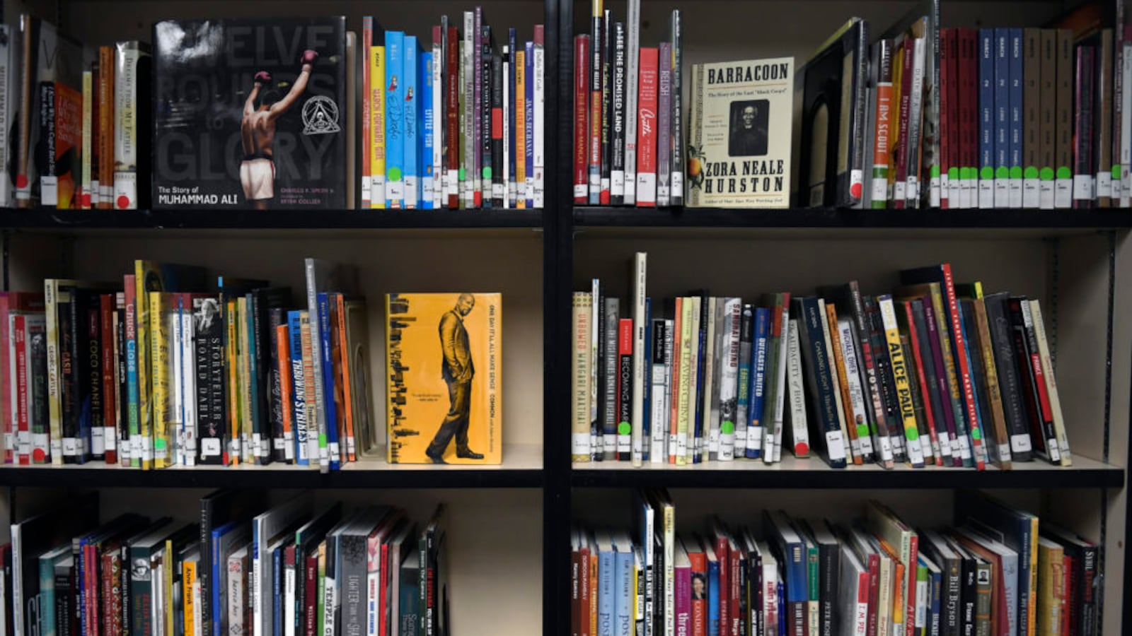 Imagine depicts books on shelves in a school library.