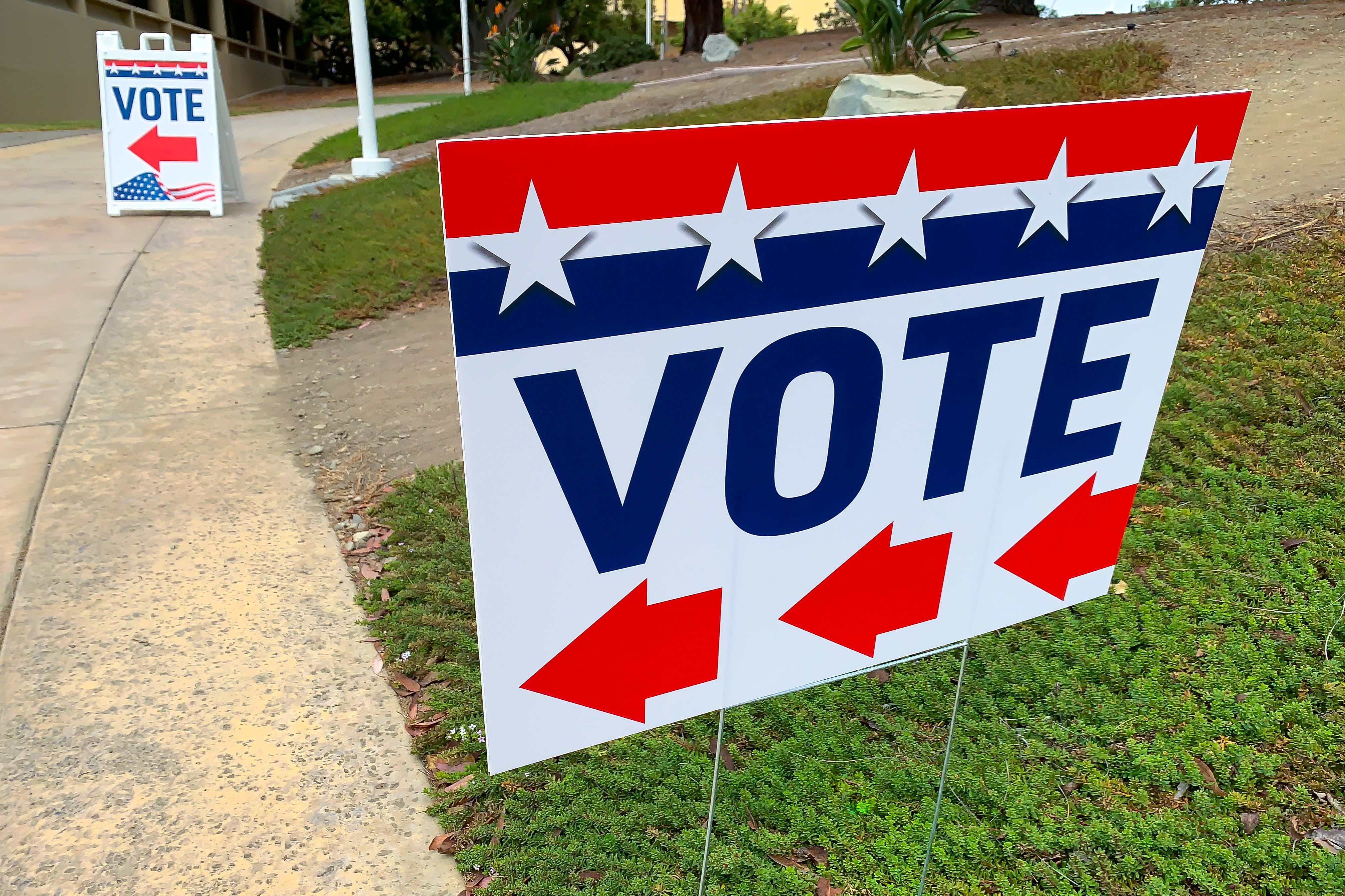 A vote sign in a patch of grass.