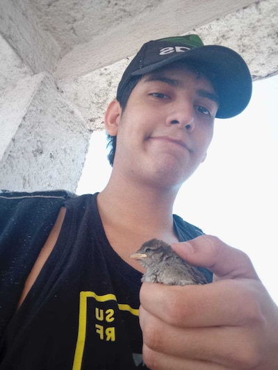 A photograph of a young teen boy wearing a baseball cap and gently holding a bird in his hand.