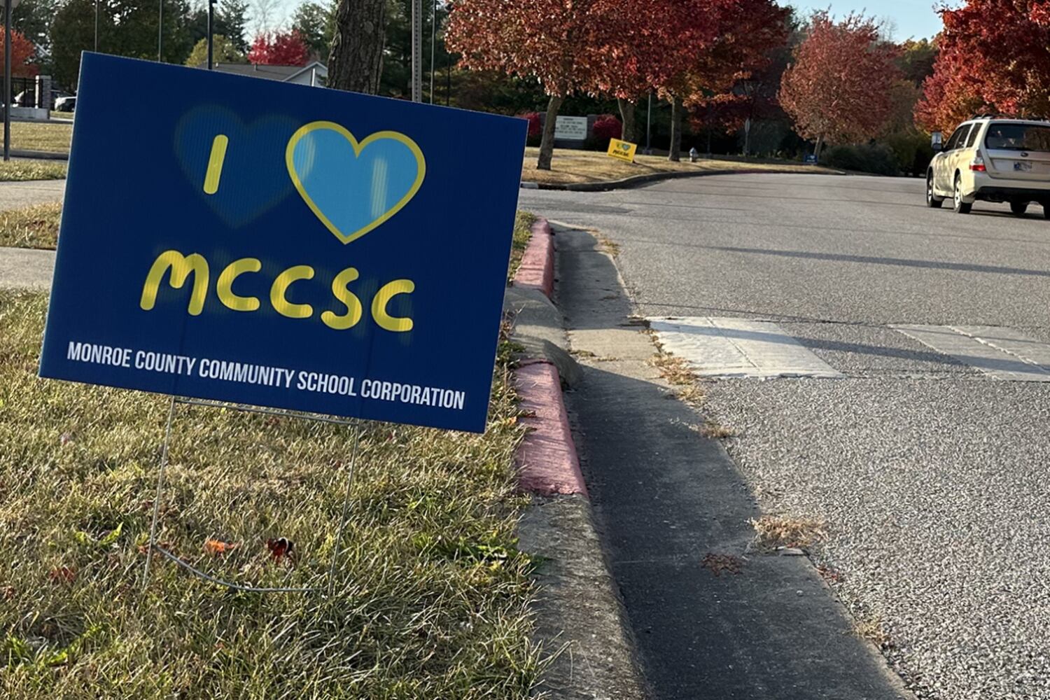 election sign in grass along side a road.