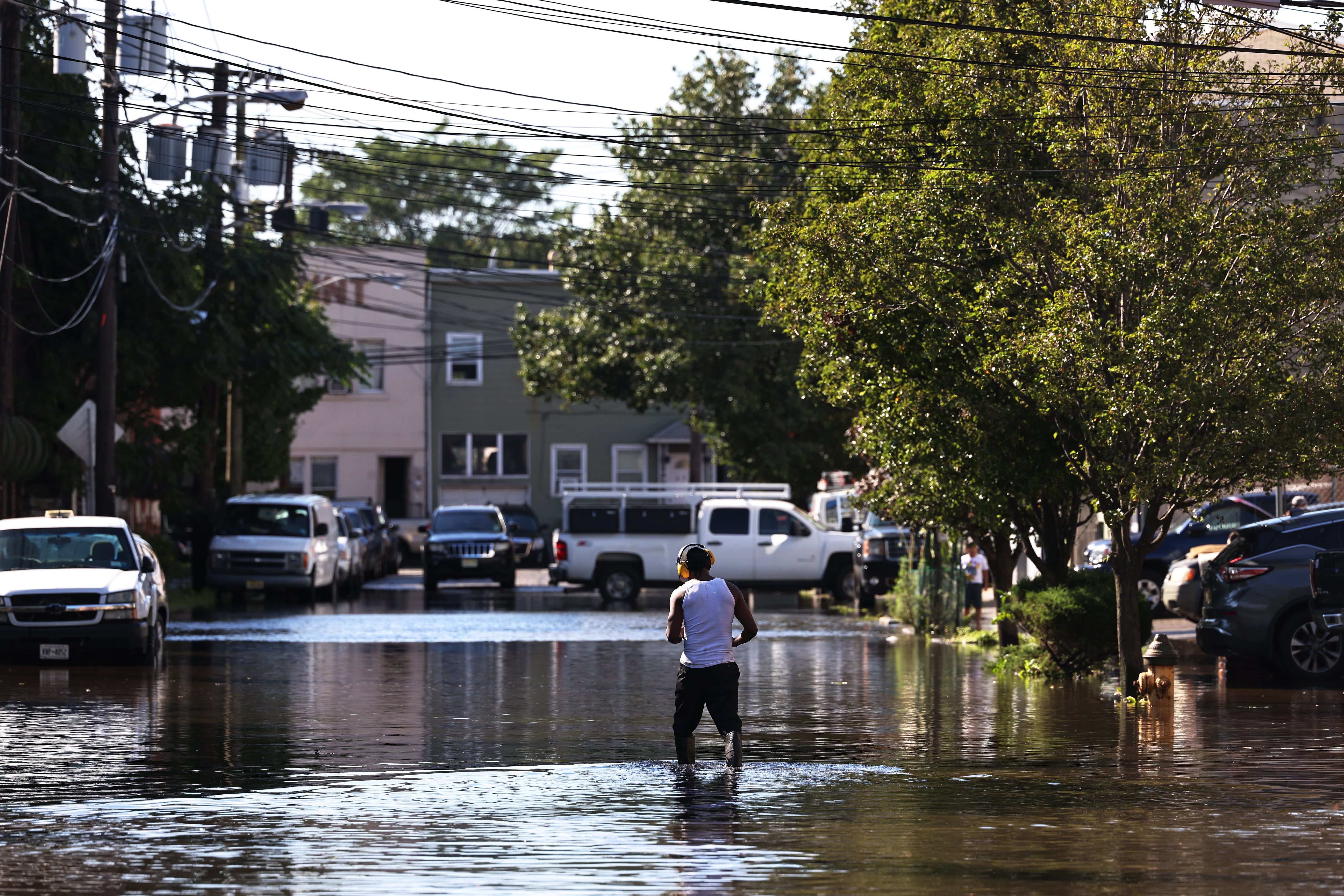 A man walks down a flooded street, lined with cars and large green trees.