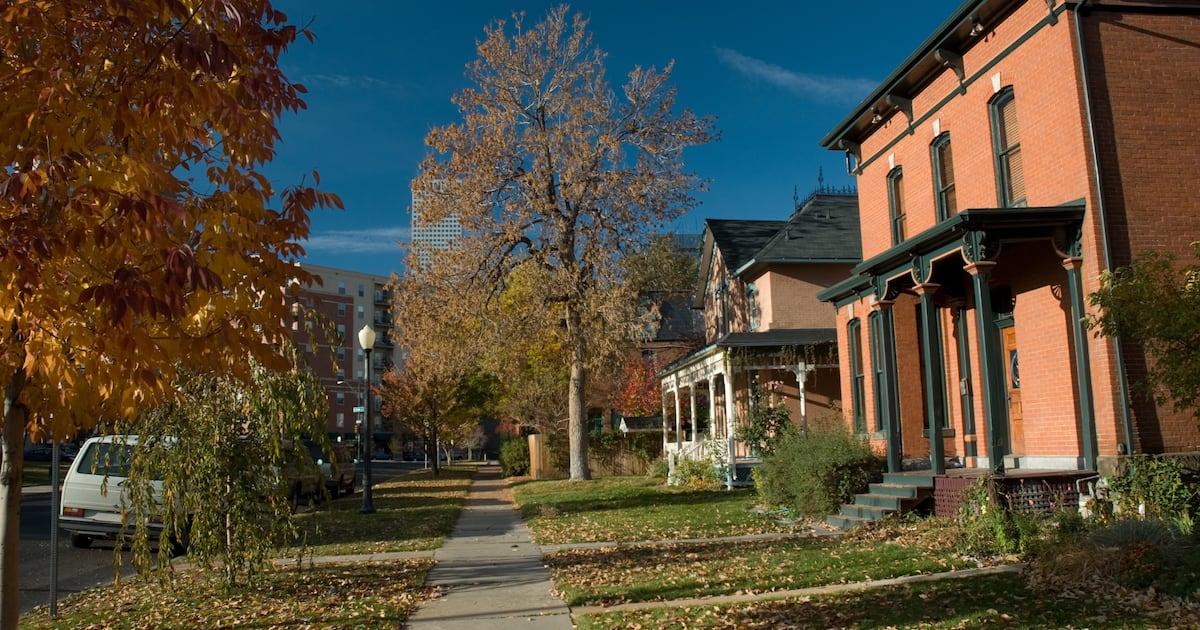 A sidewalk with leaves on the grass and a tan brick house with tall trees in the neighborhood