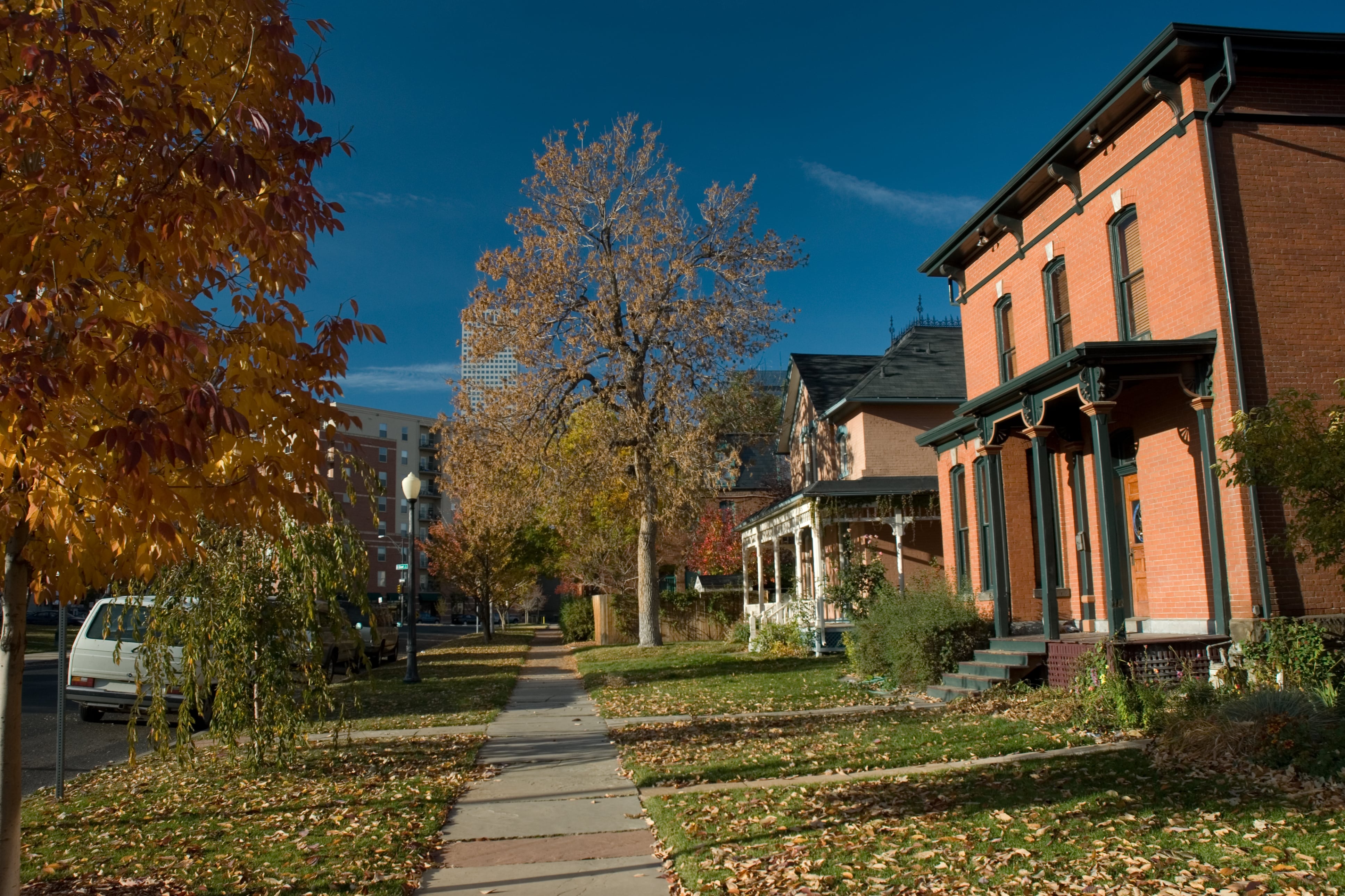 A sidewalk with leaves on the grass and a tan brick house with tall trees in the neighborhood