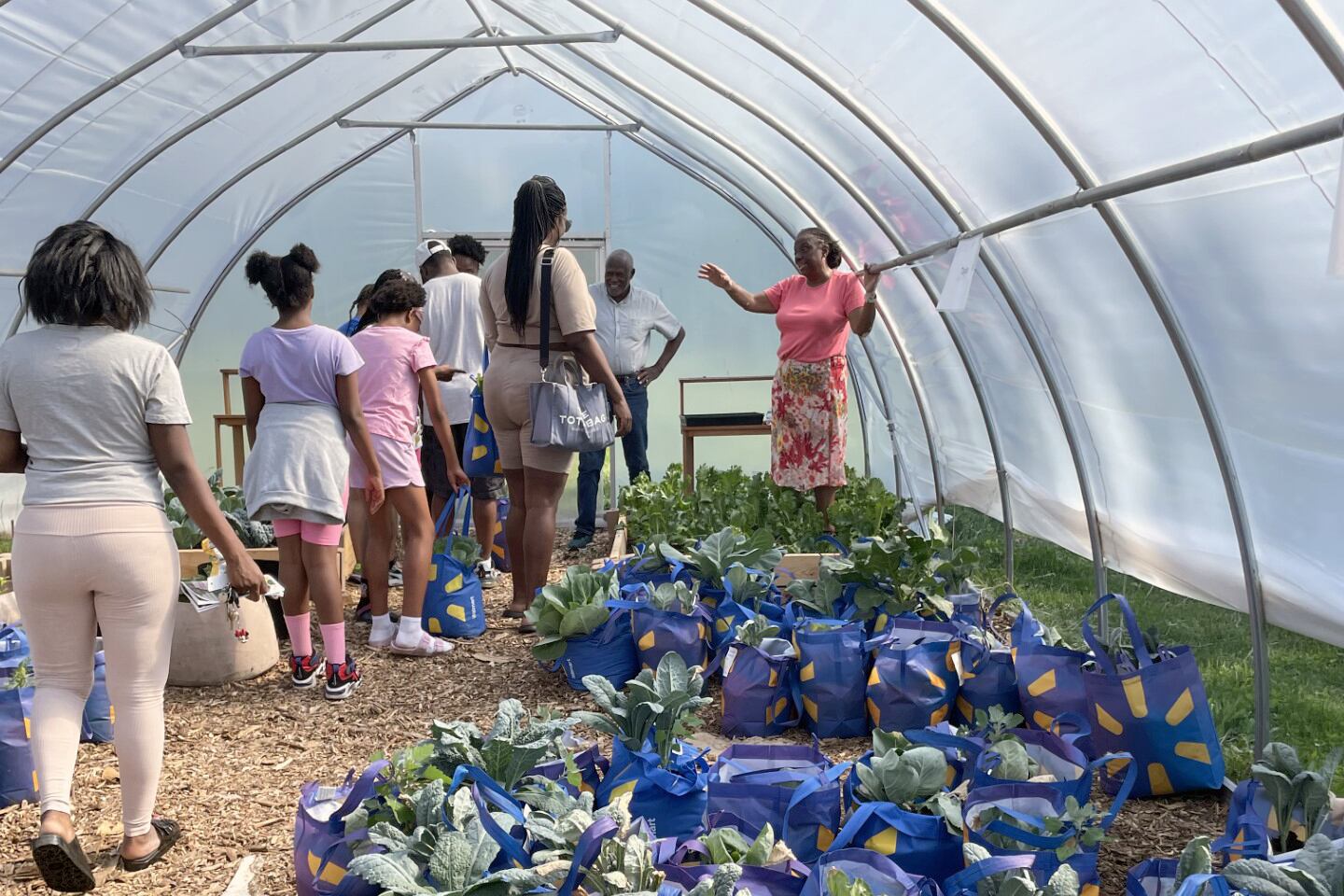 A photograph of a Black teacher standing at one end of a greenhouse with bags of vegetables on the ground and a group of students.