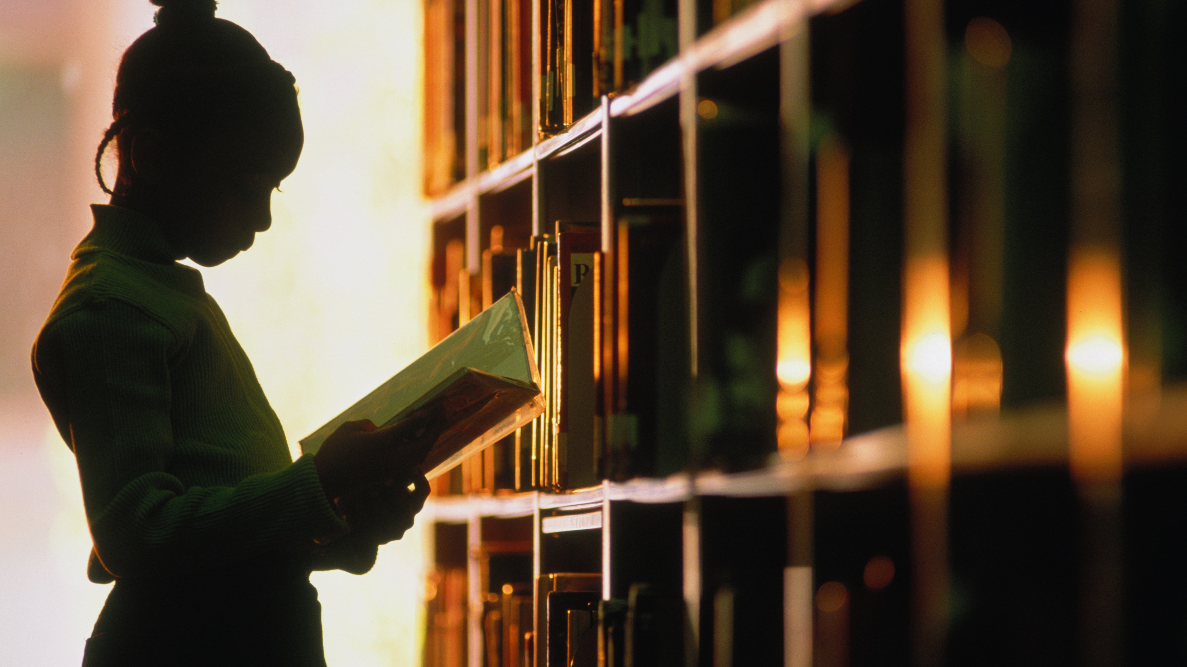 Girl (6-8) looking at book in library, silhouette