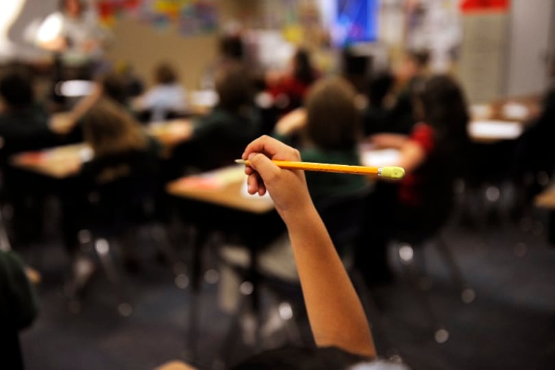 A student holds up a pencil with a yellow eraser.