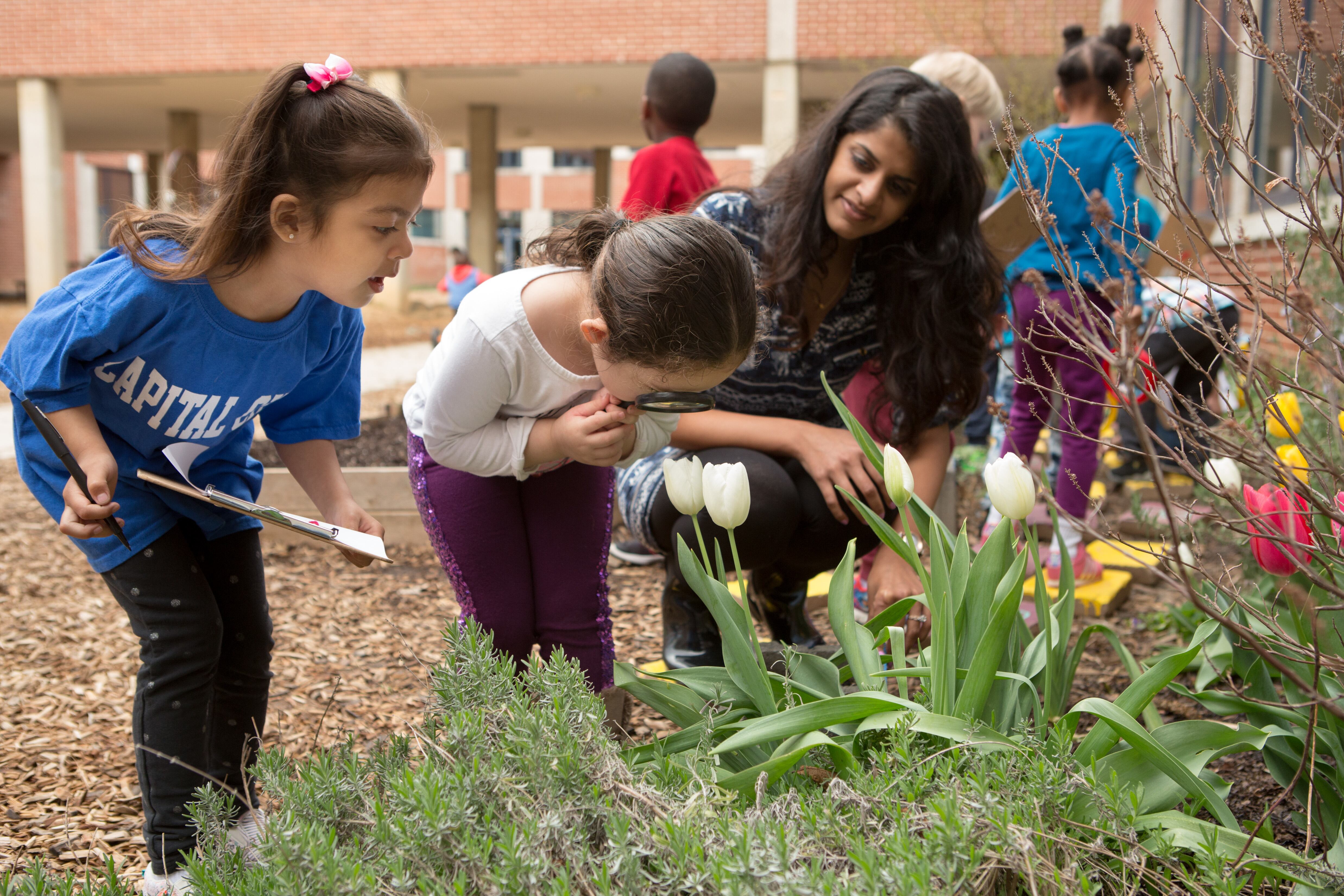 Preschool students and their teacher survey blooming flowers in a school garden.