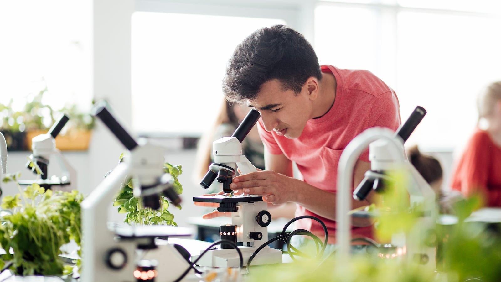 A student looking through a microscope. There are plants around him.