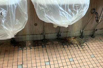 A moldy view of the bottom of a high school bathroom sink.