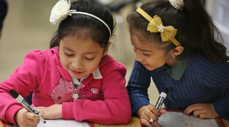 The basics of English language learning: Schools struggle to adapt